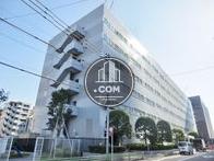 周囲に隣接する建物がない開放的な立地