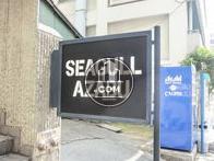 SEAGULL AZABU