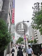 緑の多い歩道です