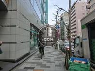舗装された綺麗な歩行者道路です