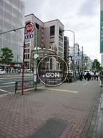 歩道は広めで歩きやすいです