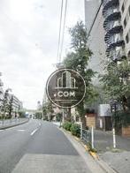 街路樹の立ち並ぶ通り