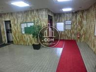 赤絨毯が映えます