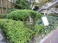 綺麗に植樹されています