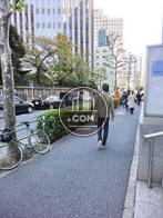 金刀比羅宮側の通りです