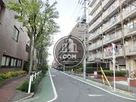 街路樹のある玄関側通り