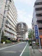 比較的落ち着いた環境の通り