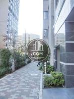 街路樹のある通り