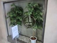エントランス右手には観葉植物があります