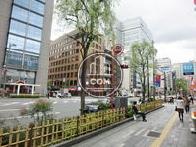 前面道路右側です