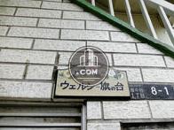 ウェルシー旗の台