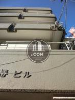 見上げた様子です