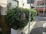 緑が多くあります