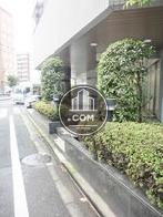 歩道との境に植込みがあります