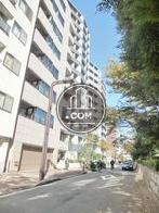 行き交う車通りの少ない公道沿い
