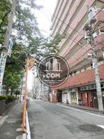 交通量の少ない公道沿いです