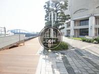 海岸側通り