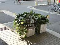 植栽