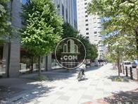 街路樹が豊富で気持ち良いです