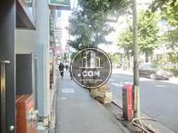 玄関前の歩道