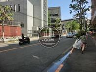 向かいは青山学院です