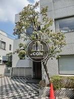 植物が豊富に植えてあります