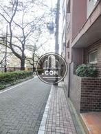 街路樹のある通り