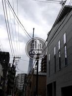 スカイツリーが見えます