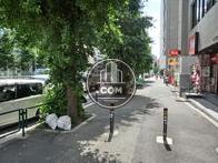 街路樹があり涼しい印象の歩道