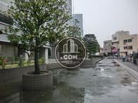 敷地内に緑があり良い雰囲気です