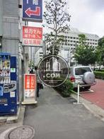 植樹された歩道