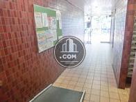 綺麗に整備されています