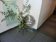 観葉植物があります