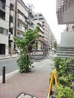 交通量の多くない通り