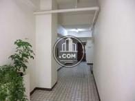 1階エントランス、観葉植物は配されています