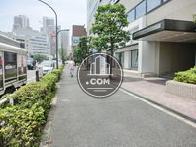 気持ち良く歩ける通りです