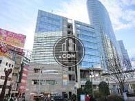 駅前広場へ出ると最初に目に止まるビルです

