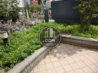 エントランス前に植栽があります