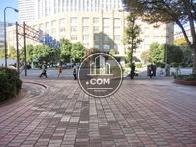 玄関から前の通りを見た光景