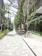 植木のある敷地内