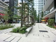 背面側敷地内