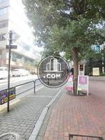 街路樹のある敷地内