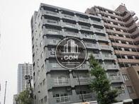 マンションタイプの物件です