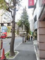街路樹のある歩道