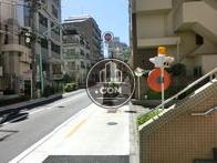 整備された綺麗な道路