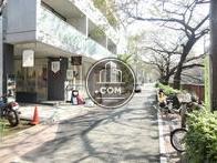 川沿いの環境