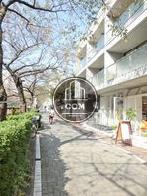 街路樹が立ち並ぶ通り