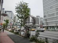 人や車の通りが多いです