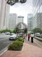 綺麗な歩道