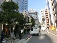 街路樹が並ぶ歩道